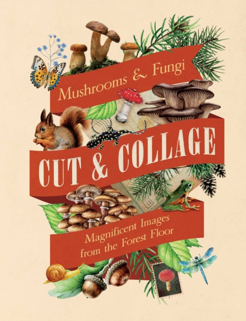 Cut & Collage Mushrooms & Fungi By Insight Editions