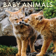 Baby Animals Wall Calendar 2026