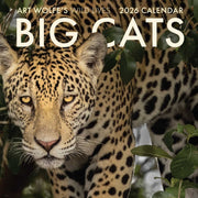 Big Cats Wall Calendar 2026