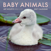Baby Animals Wall Calendar 2027 By Wolfe, Art