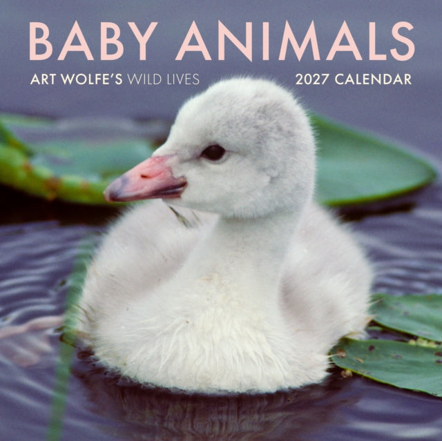 Baby Animals Wall Calendar 2027 By Wolfe, Art