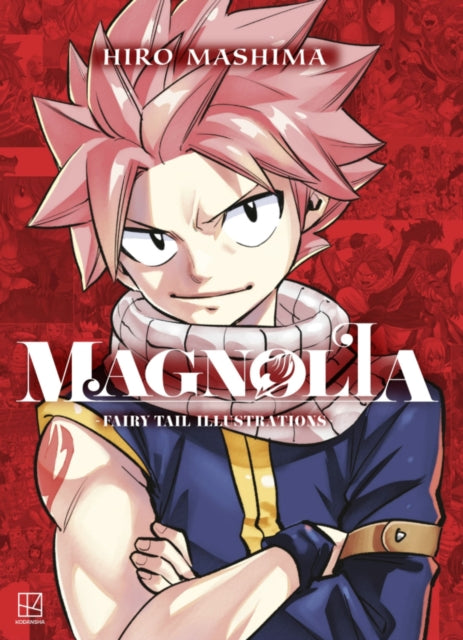 Magnolia Fairy Tail Illustrations 64