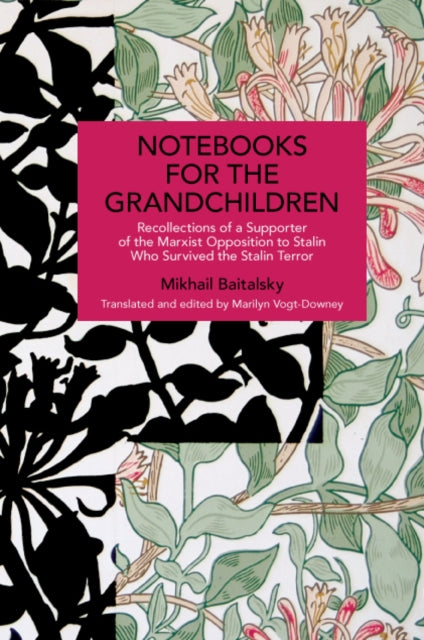 Notebooks For The Grandchildren By Baitalsky, Mikhail