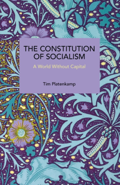Constitution Of Socialism By Platenkamp, Tim