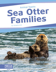 Sea Otter Families By Lim, Angela