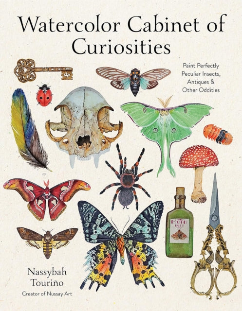 Watercolor Cabinet Of Curiosities By Tourino, Nassybah