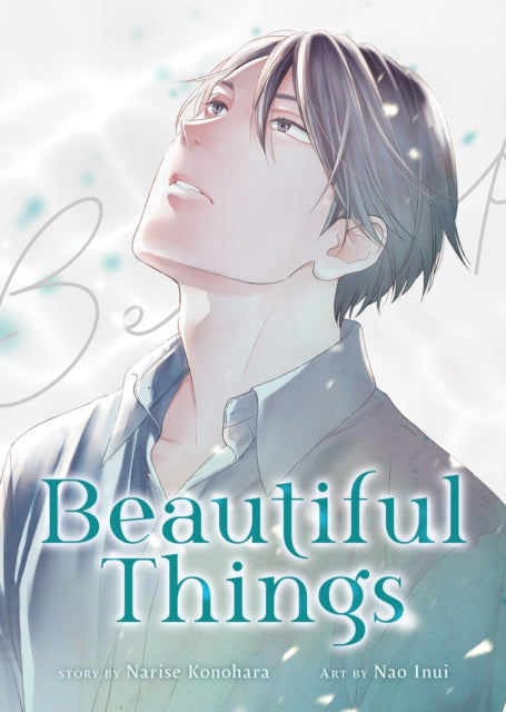 Beautiful Things The Complete Manga Coll