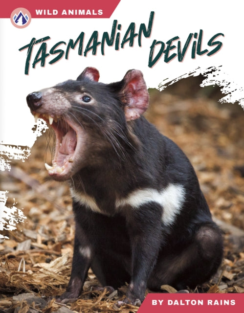 Tasmanian Devils By Dalton Rains