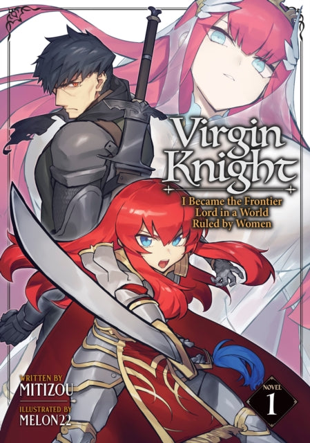 Virgin Knight I Became The Frontier Lord