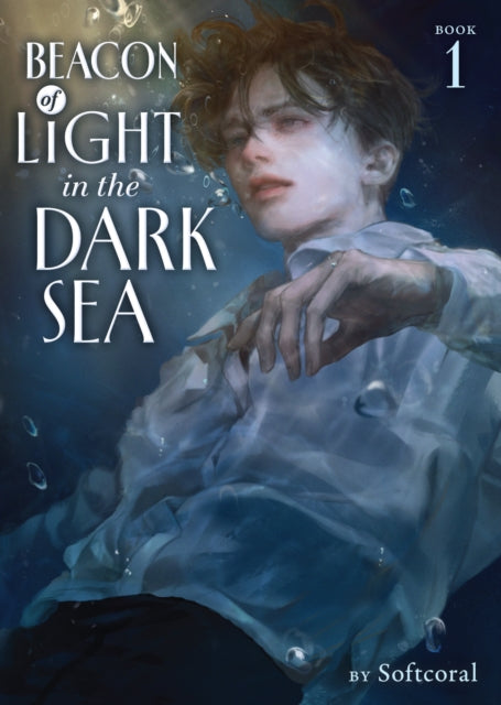 Beacon Of Light In The Dark Sea Novel Vo