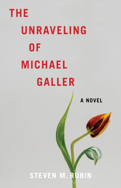 Unraveling Of Michael Galler By Rubin, Steven M.
