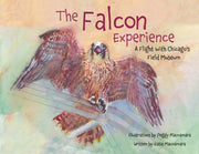 Falcon Experience