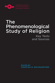 Phenomenological Study Of Religion By Gschwandtner, Christ
